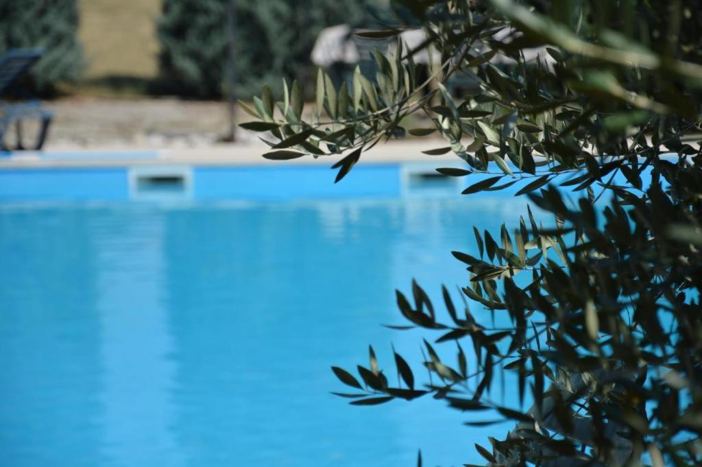 Holiday Home Atena Nova Vas  Zewnętrze zdjęcie